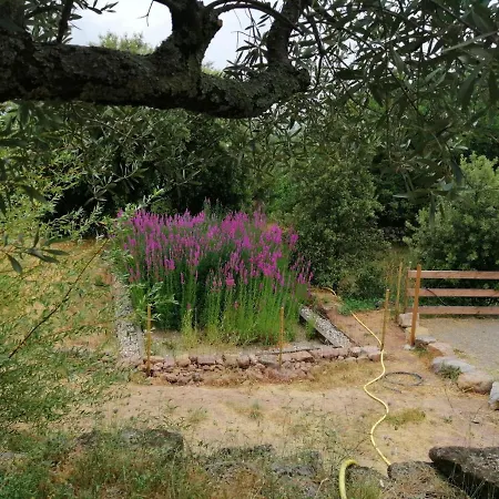 Les Jardins Celestes B&B *