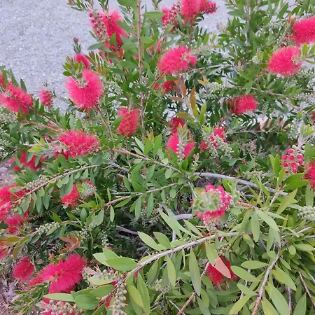 Les Jardins Celestes *