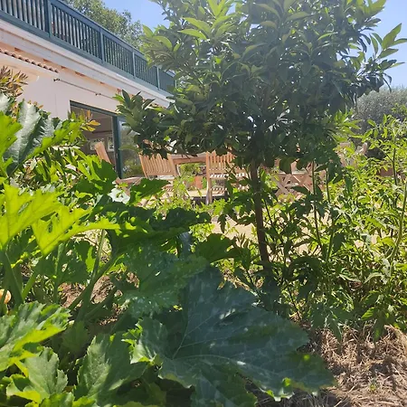 Bed & Breakfast Les Jardins Celestes Saint-Genest-de-Bauzon