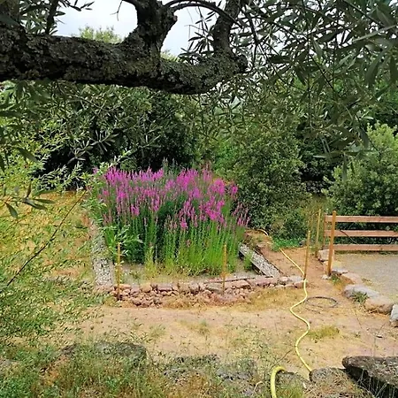 Les Jardins Celestes *