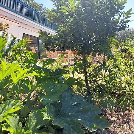 Les Jardins Celestes Bed and breakfast