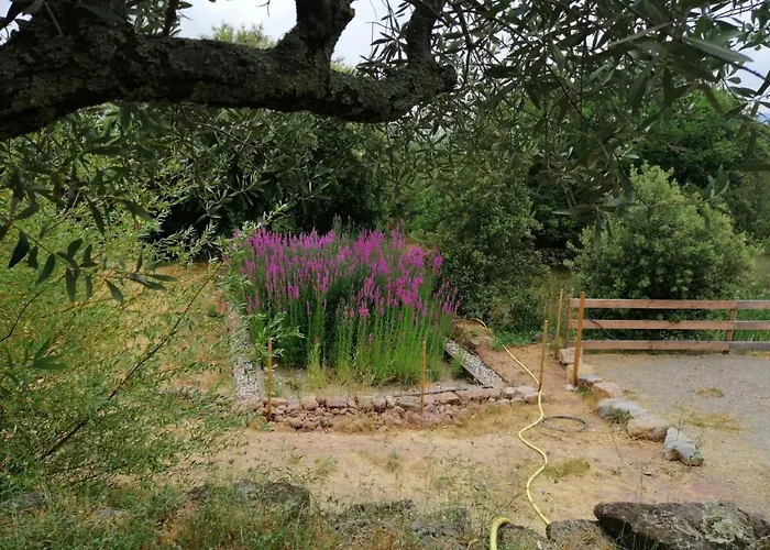 Les Jardins Celestes Couette-café *